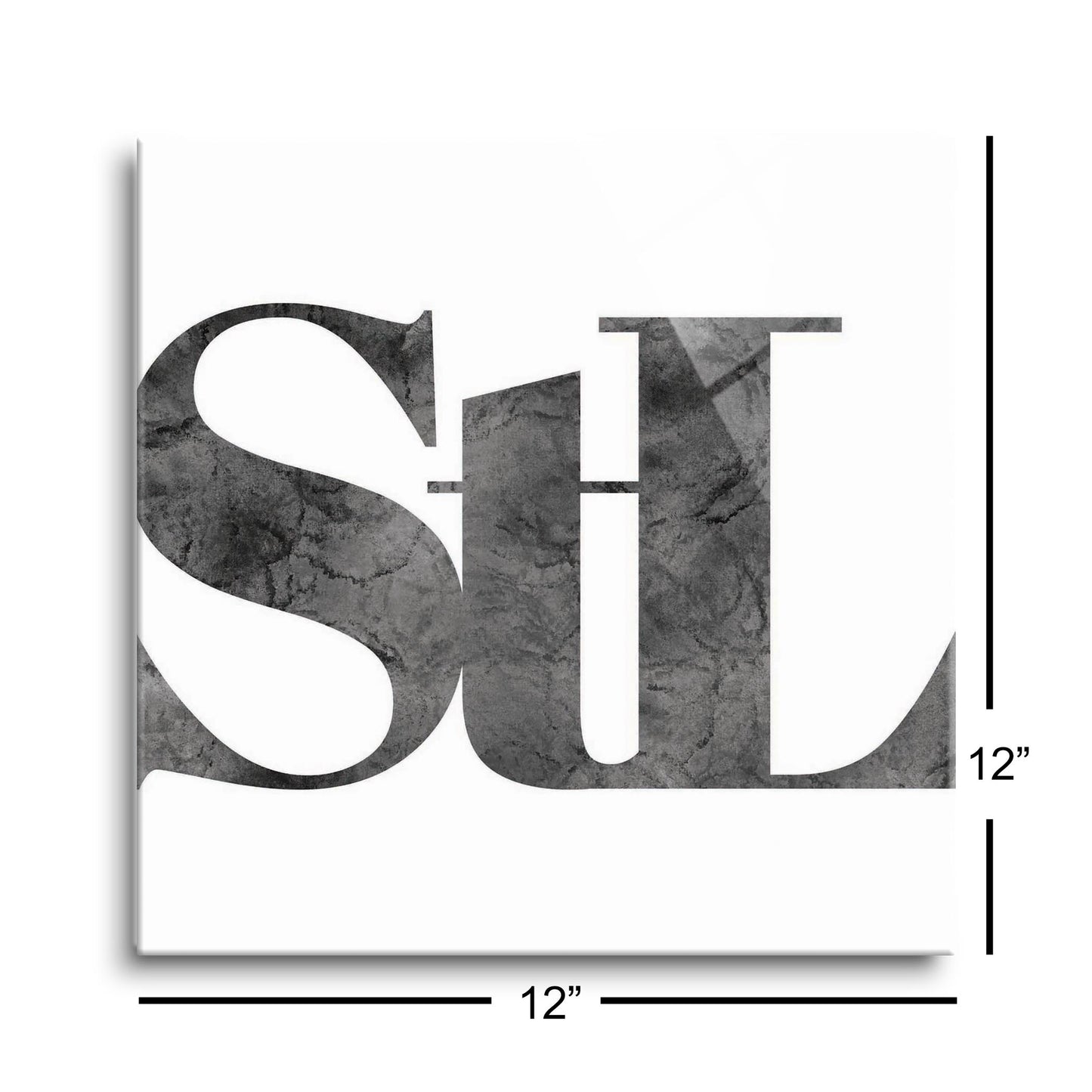 Minimalist B&W Missouri St Louis White Initials | Hi-Def Glass Art | Eaches | Min 1