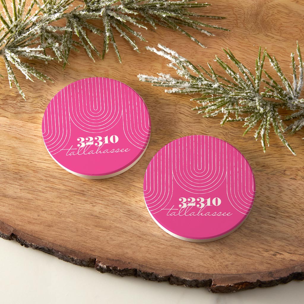 Bright Modern City Zip On Pink Florida Tallahassee | Absorbent Car Coasters | Set of 2 | Min 4