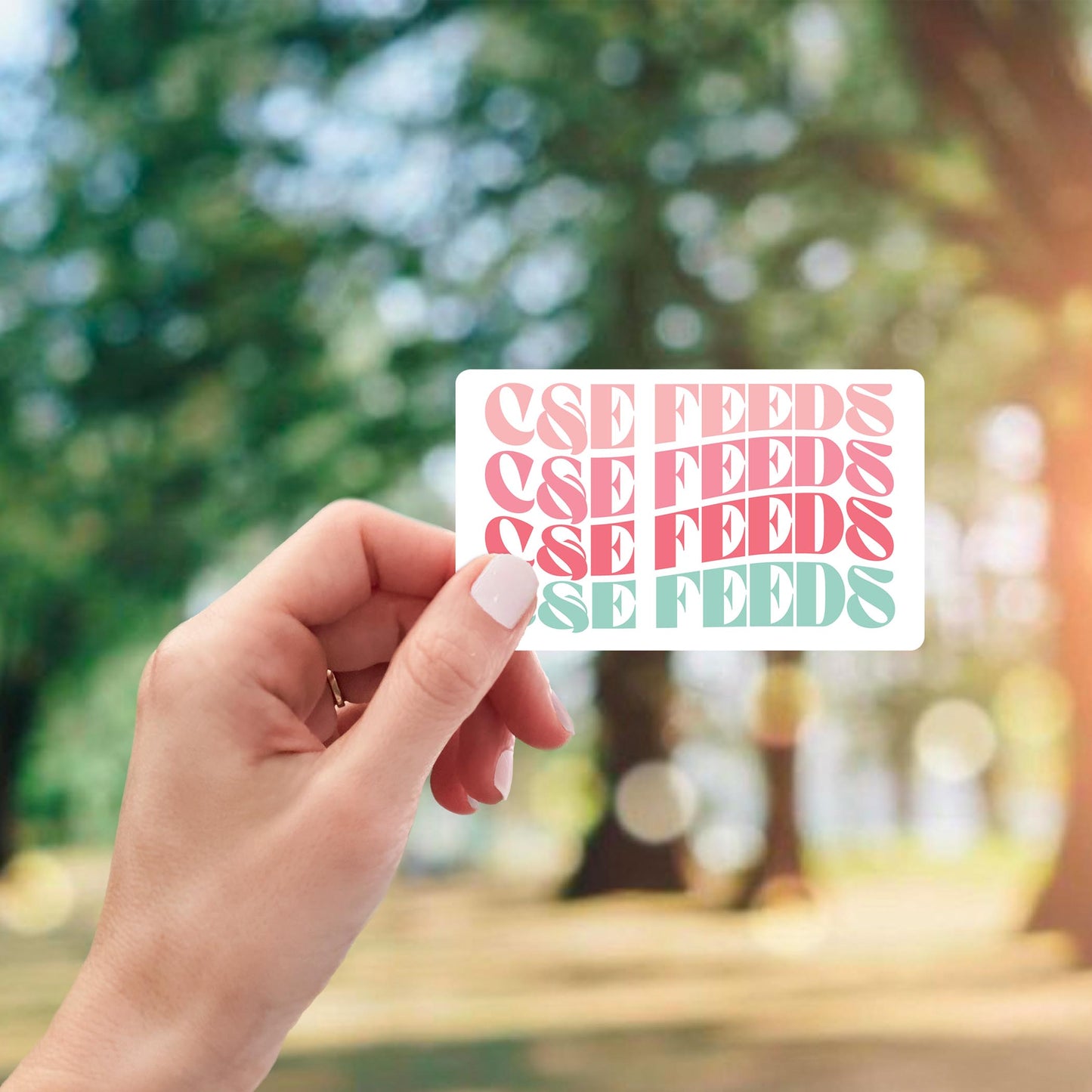 Vinyl Magnet-Retro Wave C&E Feeds