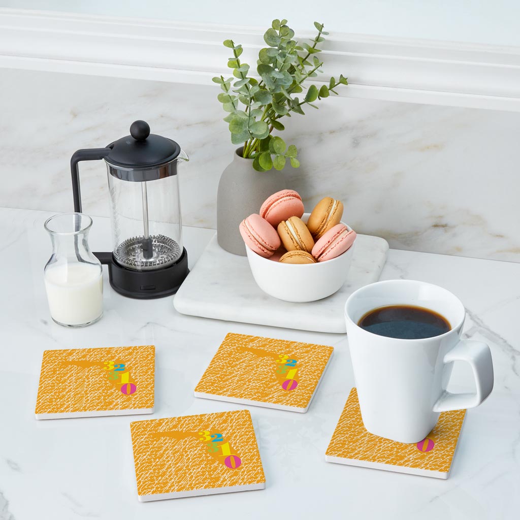Bright Modern State Script Orange Florida Tallahassee | Absorbent Coasters | Set of 4 | Min 2