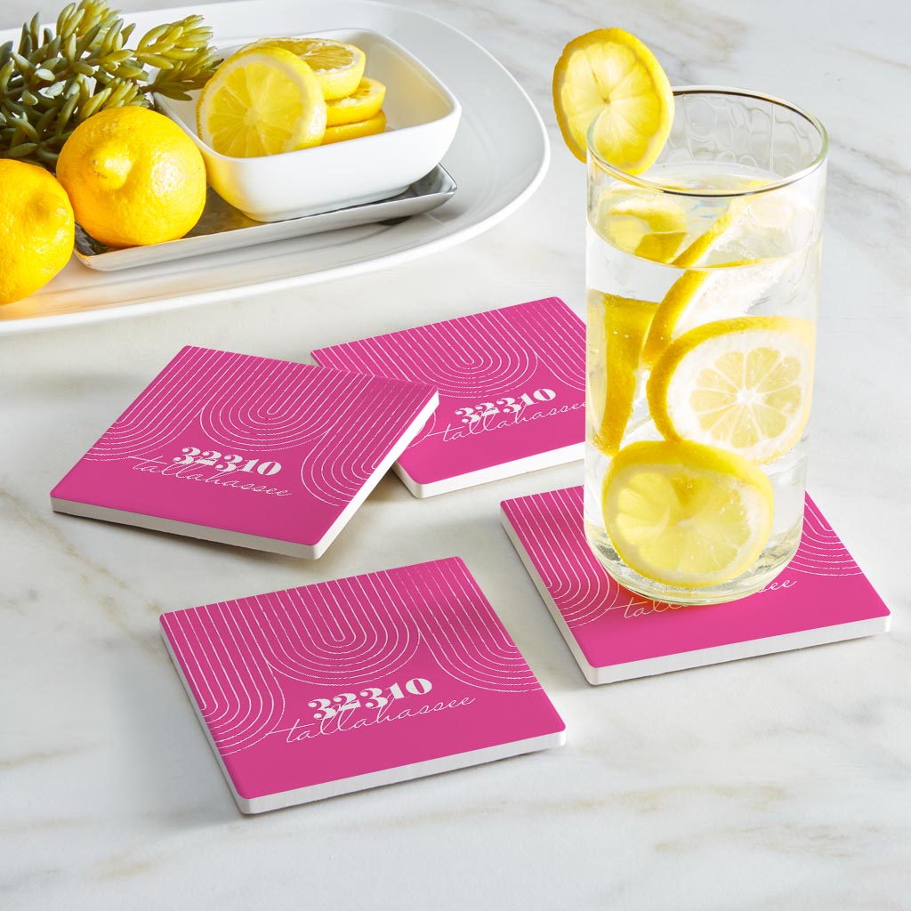 Bright Modern City Zip On Pink Florida Tallahassee | Absorbent Coasters | Set of 4 | Min 2