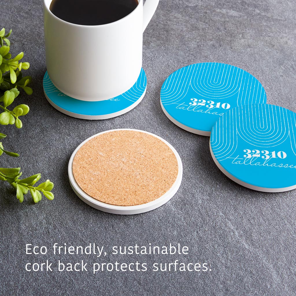 Bright Modern City Zip On Teal Florida Tallahassee | Absorbent Coasters | Set of 4 | Min 2