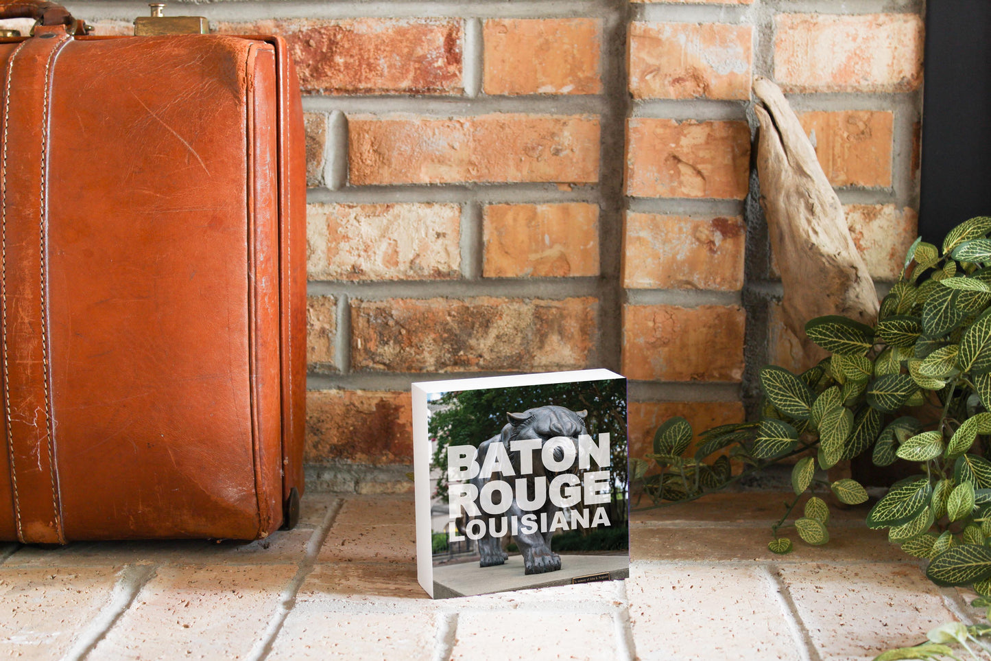 Baton Rouge Louisiana Photo | Wood Block | Eaches | Min 4