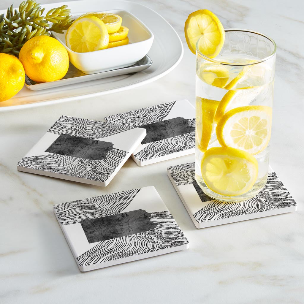 Minimalistic B&W Pennsylvania Shape Fluid Lines | Absorbent Coasters | Set of 4 | Min 2