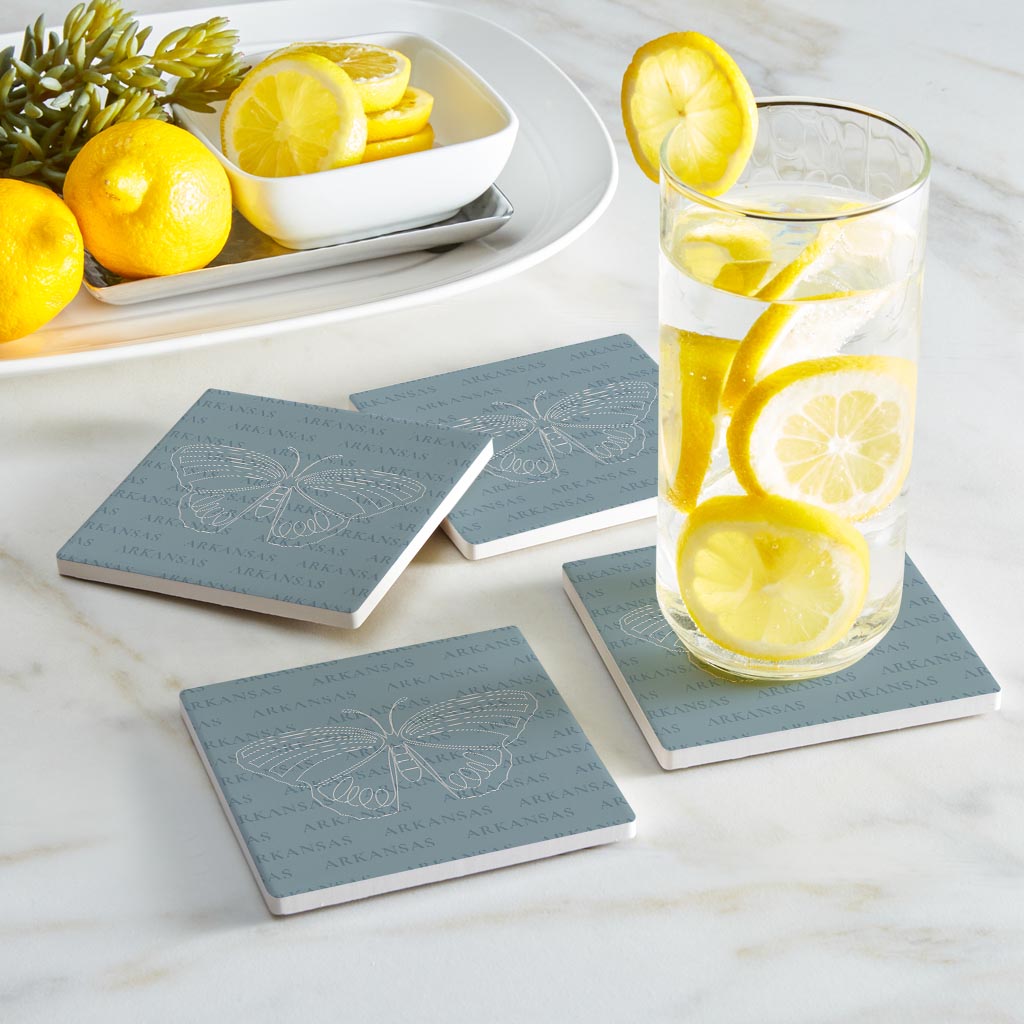 Modern Minimalist Arkansas Diana Fritillary Butterfly | Absorbent Coasters | Set of 4 | Min 2