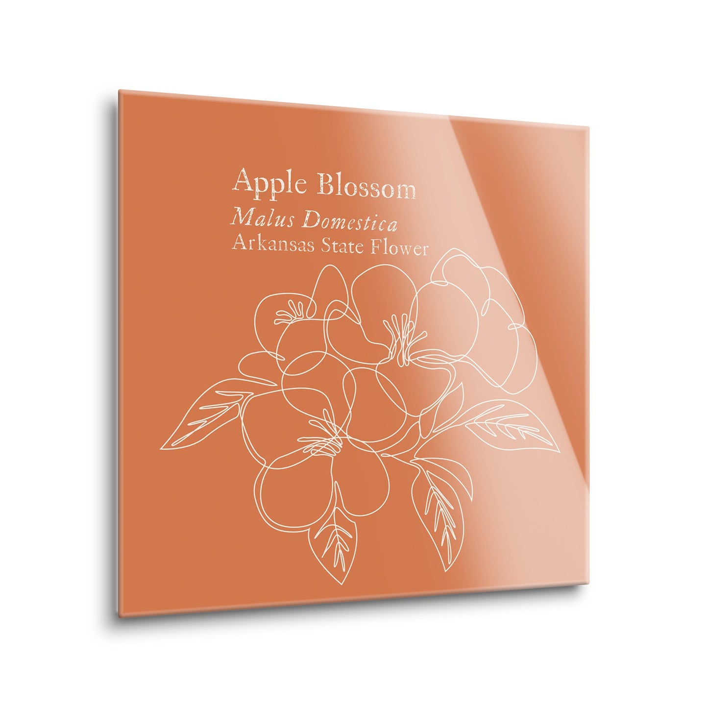 Modern Minimalist Arkansas Single Line Apple Blossoms | Hi-Def Glass Art | Eaches | Min 2