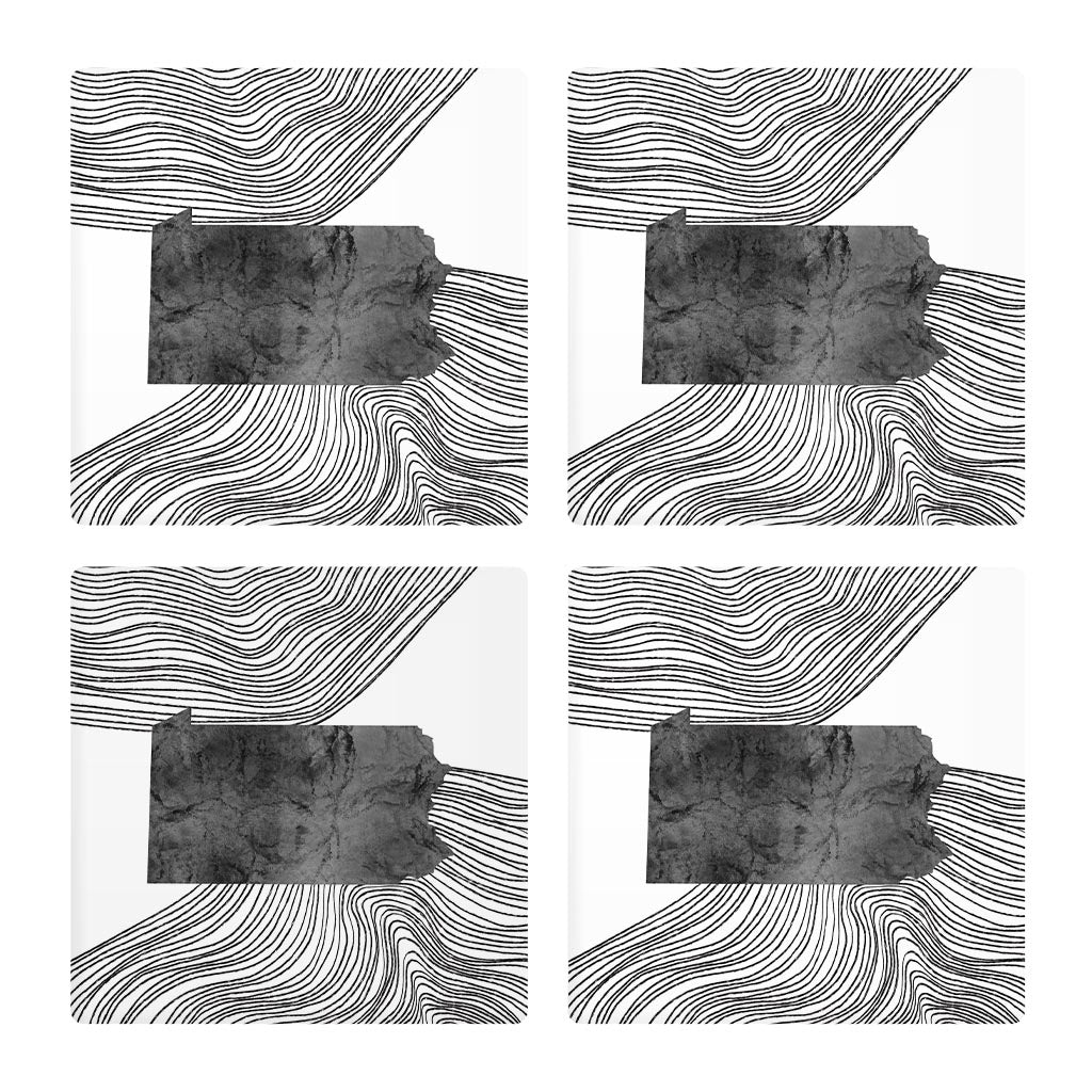 Minimalistic B&W Pennsylvania Shape Fluid Lines | Absorbent Coasters | Set of 4 | Min 2