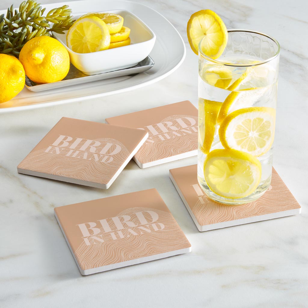 Modern Minimalist Pennsylvania Bird Quip | Absorbent Coasters | Set of 4 | Min 2